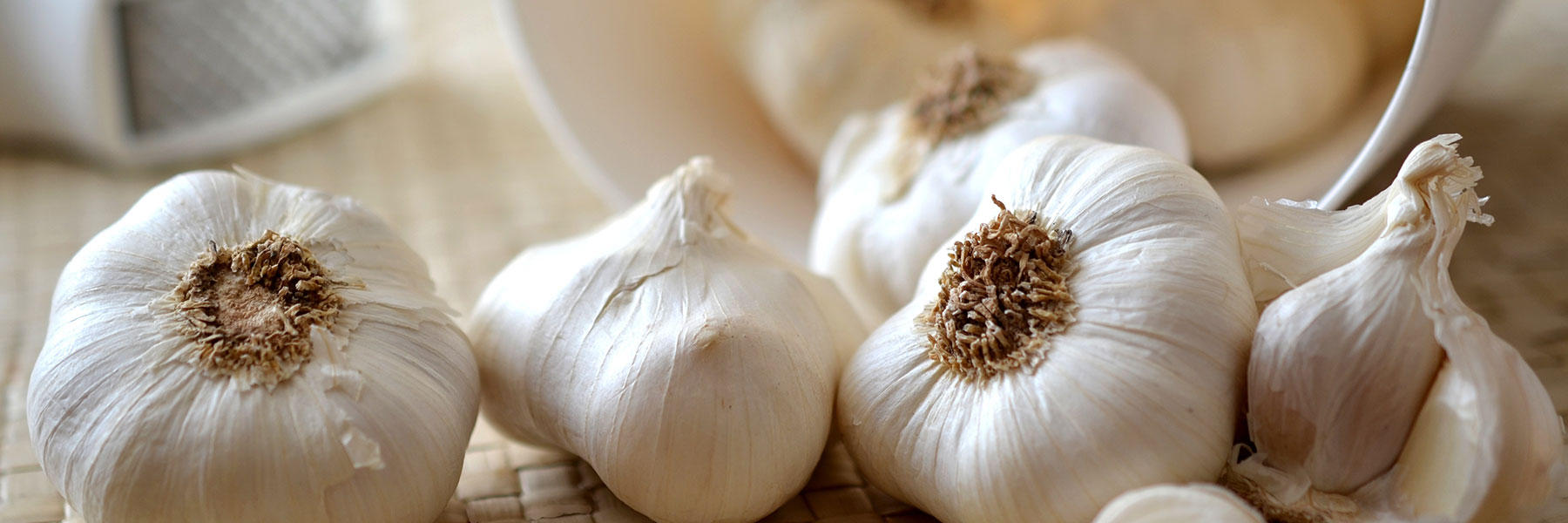 fall foliage prediction map 2023